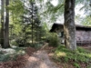 Bieterverfahren: Freizeit-Waldgrundstück mit uriger Blockhütte - Titelbild