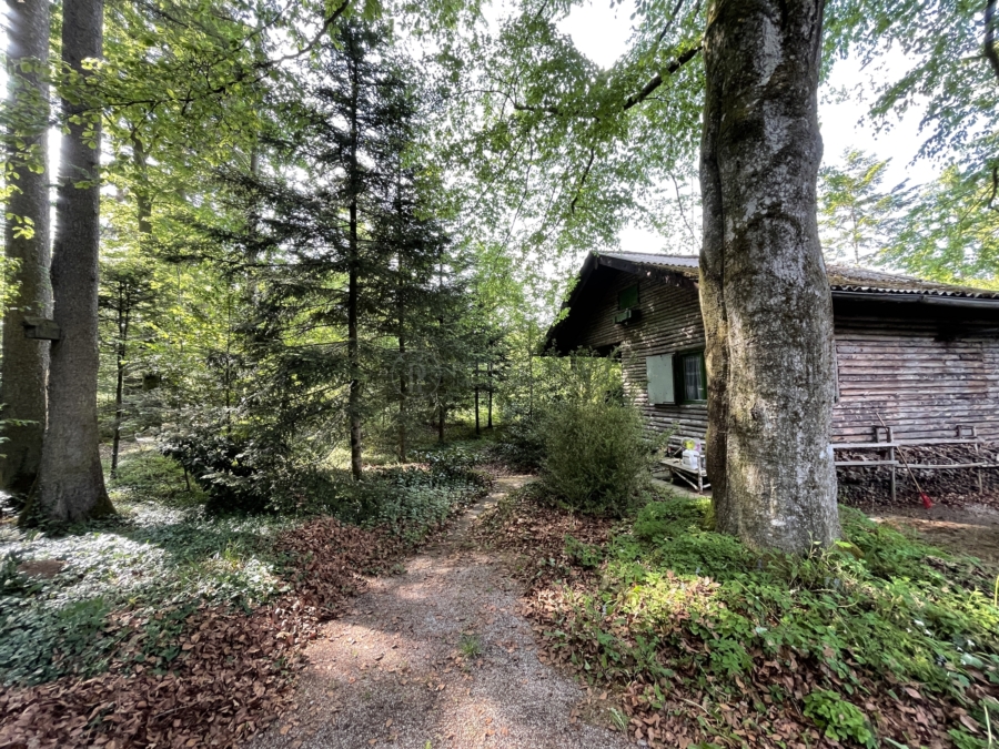 Bieterverfahren: Freizeit-Waldgrundstück mit uriger Blockhütte, 85630 Grasbrunn, Freizeit